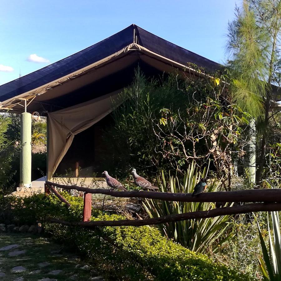 Hotel The Islandream Nairobi Zewnętrze zdjęcie